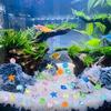30 Colorful Simulated Seashell Decorative Pieces, Creative Transparent Crystal Fish Tank and Pool Decorations, Starfish, Seashel