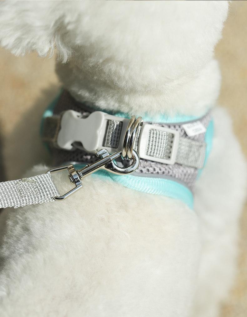 Breathable Vest-Style Pet Harness & Leash for Small Dogs & Cats