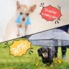 LESYPET Dog Umbrella for Small Dogs, Clear Puppy Umbrella with Adjustable Rope Leash for Rainy Walking, 27'' Diameter