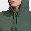 Sweatshirts Women's Green Hooded Moderate Regular HK0448