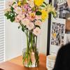 Creative Flower Arrangement Bottle Thickened Unbreakable Clear Cylinder Vase Simple Leak-Proof Aquatic Plant Container