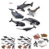 Marine Animal Pvc Model With Realistic Design For Education And Collection