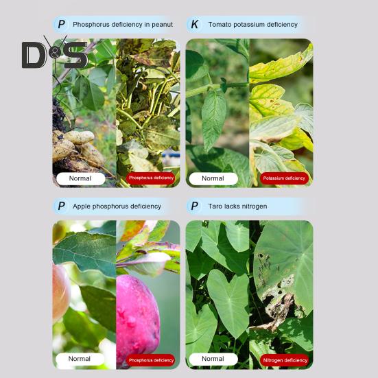 40 Foi Hârtie Test Sol 4 în 1 Kit Test Sol pentru PH Azot Fosfor Potasiu Set Tester Sol Interior Exterior pentru Grădină Curte Fermă