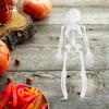 Halloween Skeleton Decoration Full Body Movable Joints Skeletons Model for Spooky Scene