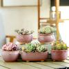 Retro Kiln Change Pink Ceramic Succulent Plant Pot - Creative Mini Flowerpot for Home & Balcony Decor