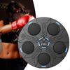 Dynamic Boxing Wall Target System for Fitness And Training