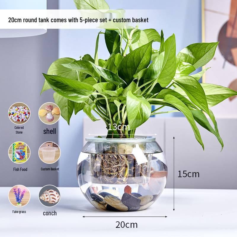 Jialei Dezhu Transparent Round Glass Fish Tank & Turtle Aquarium for Desktop Living Room