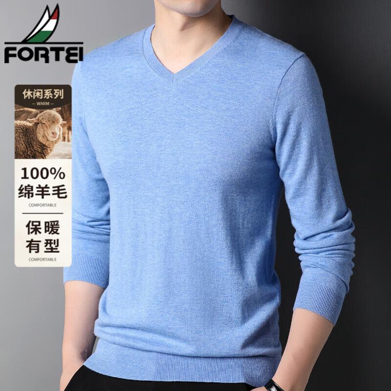 FORTEI Men's 100% Pure Wool V-Neck Pullover Sweater