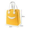 Portable Insulated Lunch Bag