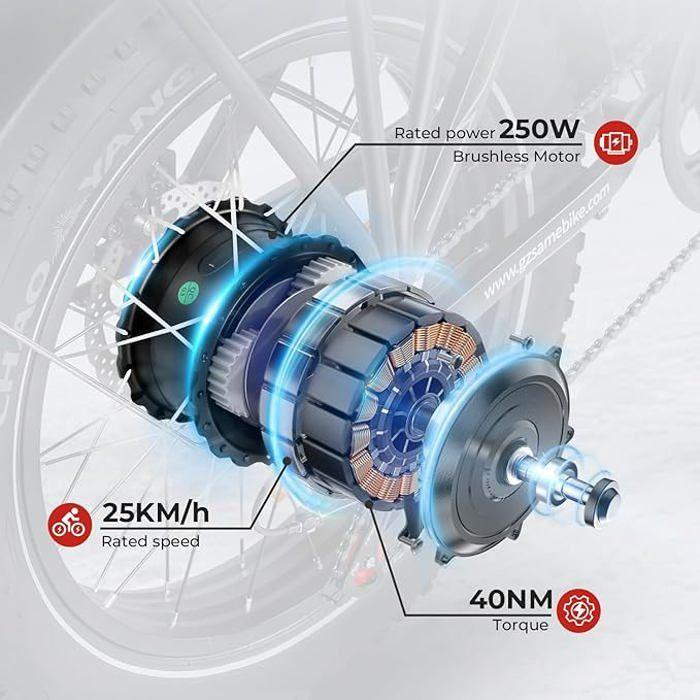 Vélo Électrique - SAMEBIKE - LOTDM200-II-FT-DB - 48V 13Ah - Autonomie 60-120 km - 20 pouces