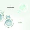 PECHOIN Amino Acid Gentle Soothing Cleansing Milk