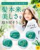 Sakura No Mori Herbanience Organic Shampoo Naturally Amino Acids Next-Generation & Conditioner, 100% Derived, Silicone-Free, Additive-Free Formula,