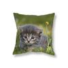 Cute Kitten Throw Pillowcase Sofa Party Decoration Office Game Chair Cushion Cover Room Bedside Home Decor Pillowcase 45x45cm