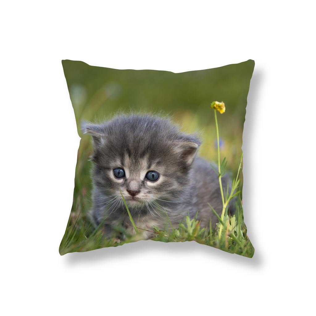 Cute Kitten Throw Pillowcase Sofa Party Decoration Office Game Chair Cushion Cover Room Bedside Home Decor Pillowcase 45x45cm