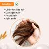 Fixderma Fidelia Stärkender Conditioner mit Sheabutter und Weizenprotein für krauses und trockenes Haar | Haarspülung – 100 g (Packung mit 1)