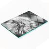 Kitchen Multifunctional Decorative Glass Board Dandelion 80X52 Cm