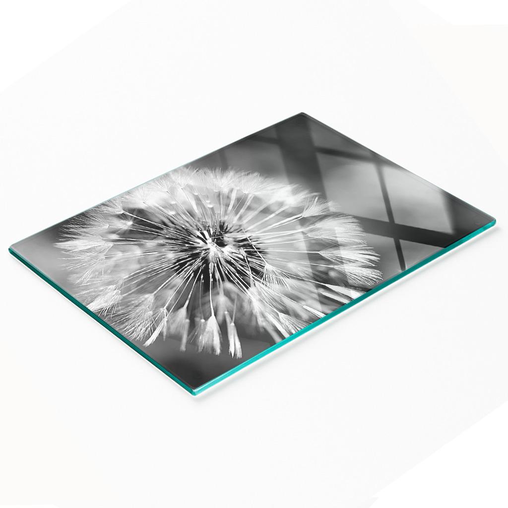 Kitchen Multifunctional Decorative Glass Board Dandelion 80X52 Cm