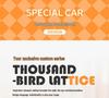 Custom Houndstooth Car Seat Cushions for BYD Seagull, 25-Year Design