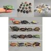 Marine Animal Model Pvc Green Sea Turtle Collectors Figure For Kids And Decor