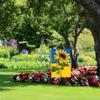 Sunflower Flag, Outdoor Flag, Indoor Flag Wall Hanging Decorations