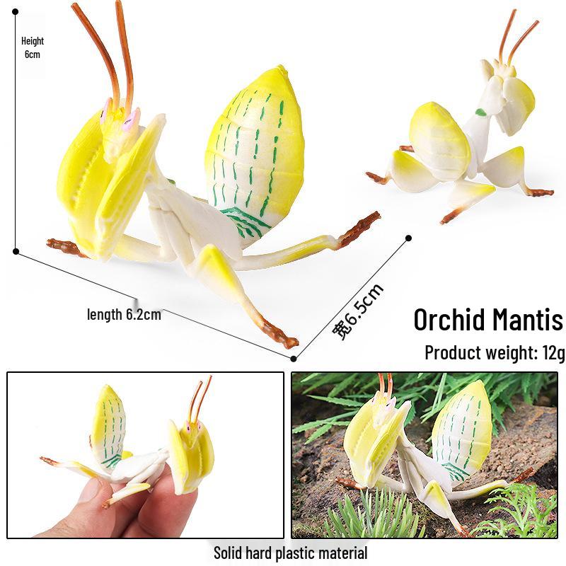 Golden Orb-Weaver Spider Model: Realistic, Educational, Eyecatching Children s Toy.