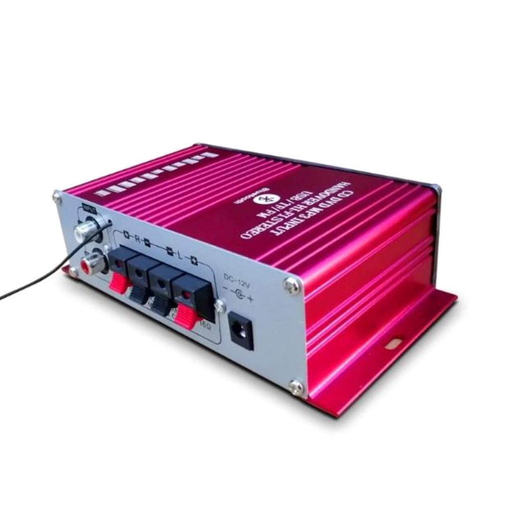 DC 12V Power Amplifier with Dual Mic Stereo FM and Low Latency Digital Audio Player BT5.0 Hi-Fi Input, 2-Channel Sound, Built-in Radio,