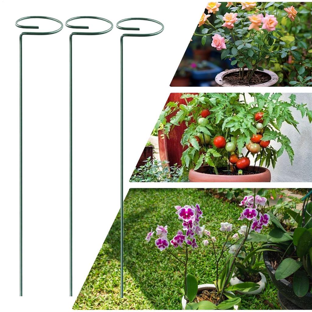 Plant Support Metal Ring Support Poles Tomato Trellis Climbing Plant Holder For Flower Tomato Vegetable Peony Orchid Outdoor