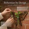 Wooden Hydroponic Planter Shelf Home Ornaments Wall Decoration Planter Holder  Garden Decor