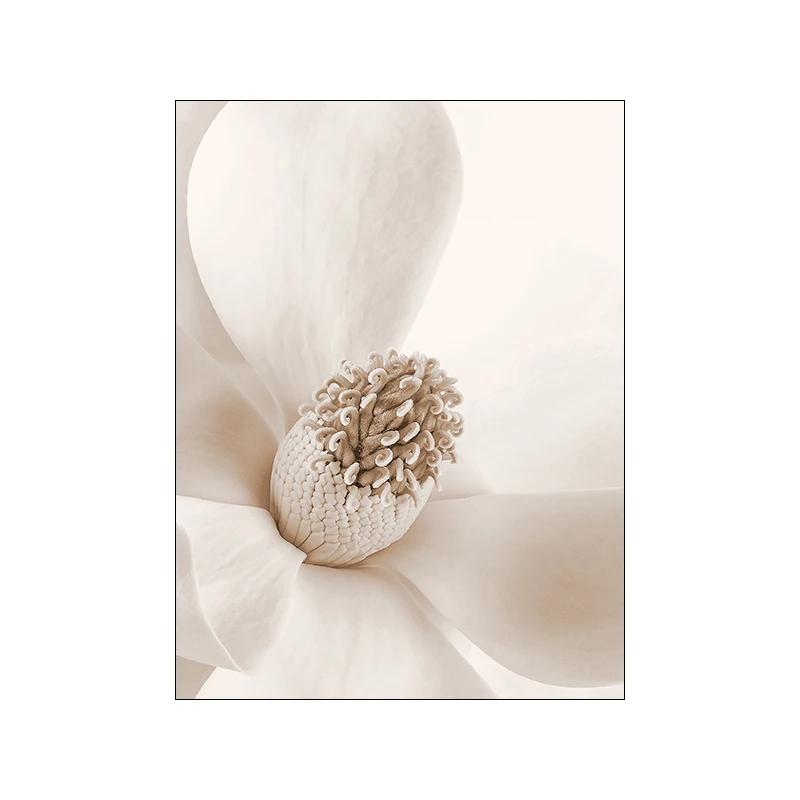 Nowoczesny Nordycki Obraz Płócienny z Kwiatami Trawy, Boho Nadmorski Krajobraz, Plakat i Druk na Ścianę do Dekoracji Domu, Salonu