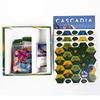 Cascadia Board Game Set English Chess Version Easy Rules Fast Play Educational Fun for Kids Adults and Family Gatherings