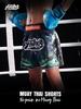 2025 Multi-Color Boxing & Muay Thai Shorts, European Fit, Competition & Training, Multi-Style