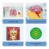 Lelequ Kids' 3D Pop-up Science Discovery Books