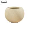 Spherical Cement Flower Pot for Ficus, Orchids, and Green Plants - Ideal for Home, Living Room, Balcony, or Outdoor Use.