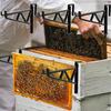 Hive Tool 2 Pieces Apiary Hive Fastener Beekeeping Tools for Honey Harvesting Farm Outdoor Park Garden Yard