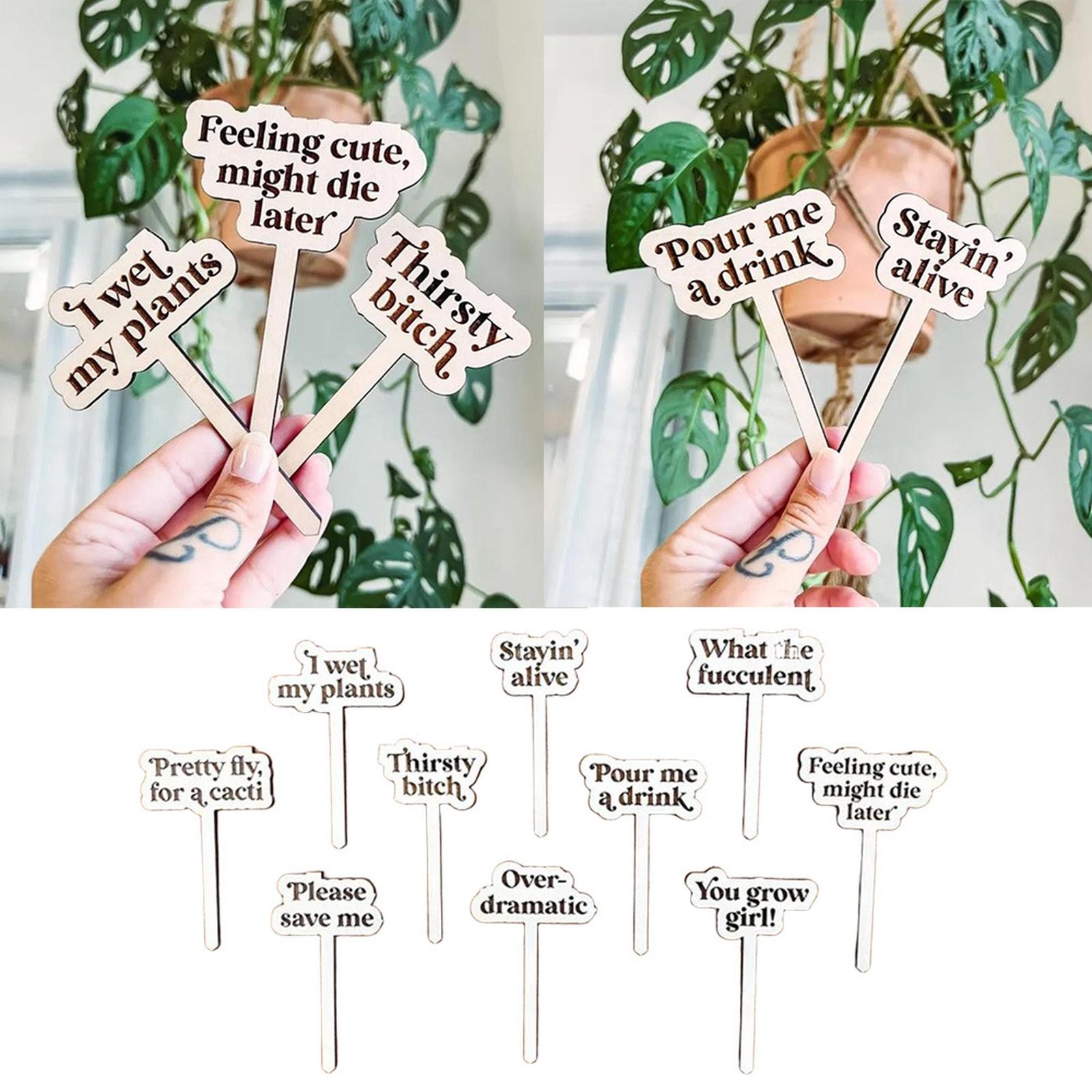 

Деревянные маркеры для растений – Маленькие садовые колышки для суккулентов и зеленых растений One Size