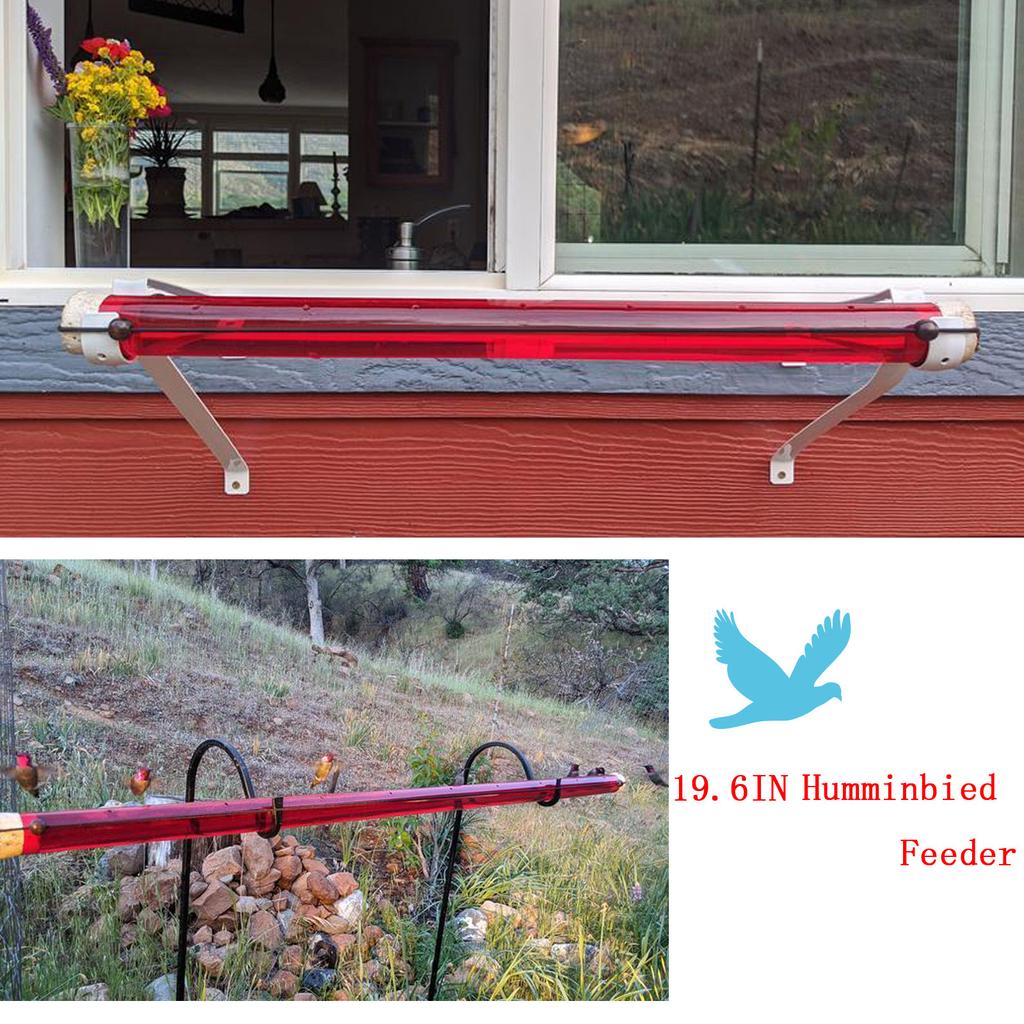 Anna's Best Hummingbird Feeder Hanging wild Drinking Garden Yard Bird