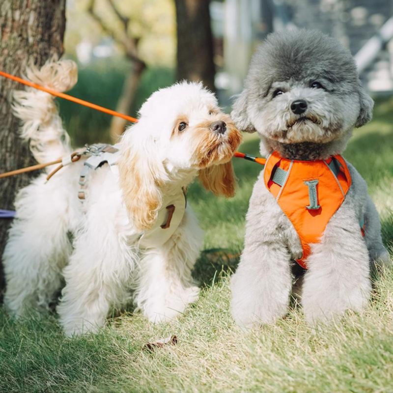 Pet Lightweight Harness Vest Harness for Small Medium Dogs Anti-Pull Puppy Walking Chest and Back For Dogs Outdoor Walking