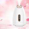 Cold and Hot Double Spray Face Vaporizer Nano Water Refill Sprayer Face Household Steam Engine Beauty Salons Special Face Vaporizer Beauty Equipment