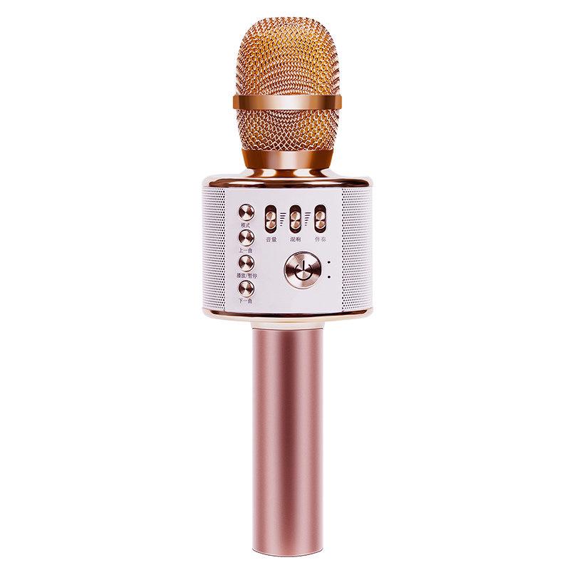 Guangfengyuan Kids' All-in-One Singing Microphone & Speaker