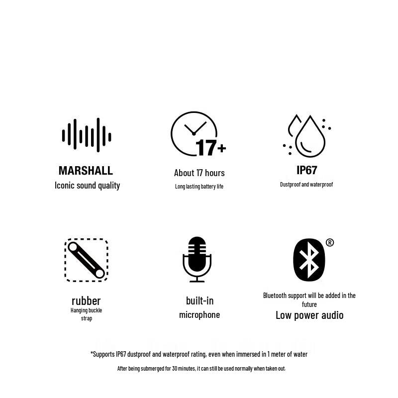 Marshall Willen II Portable Bluetooth Speaker CN plug (adapter included)