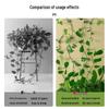 Self-Adhesive Invisible Clips for Wall-Mounting Green Vines and Ivy