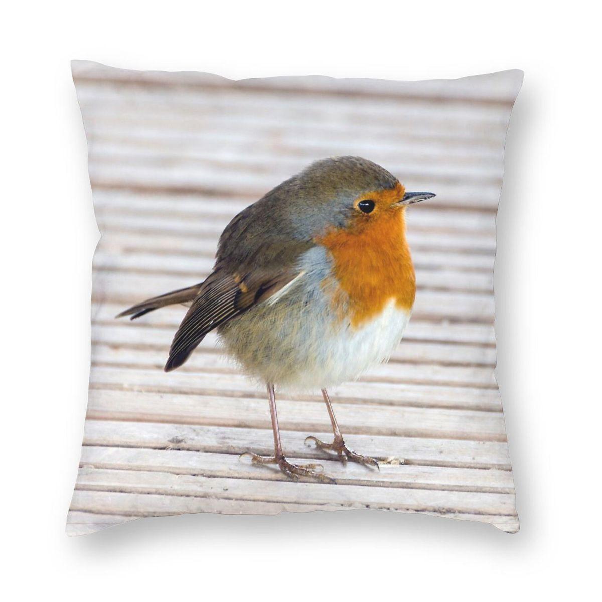 

Robins Do Like To Pose Square Pillowcase Polyester Linen Velvet Pattern Zip Decorative Throw Pillow Case Car Cushion Cover 30x30cm
