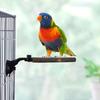 Parrot Perch Stand with Suction Cup Relieve Boredom Natural Wood Birds Toy for Cockatoo Macaw Parakeet