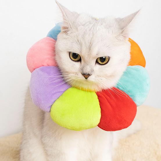 

Нашийник Елізабет М який нашийник Нашийник для собак Нашийник Нашийник проти подряпин і лизання Накидка на голову Котячий нашийник Товари для тварин S різнокольоровий