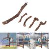 Bird Perch Natural Wood Stand Parakeet Toys Bird Cage Perches Accessories for Parakeets Senegal Parrots Mini Macaws