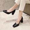 Silver High Heels Korean Design Sensation Shallow Mouth Chunky Heel Square Head Women's Shoes Versatile Business Casual Summer