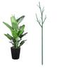 Plant Support Stakes Removable Garden Tree Branch Shape Green Plant Pole for Potted Plants and Flowers