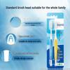 Lion Fine Clean Standard Soft Bristle Toothbrush (2-Pack)