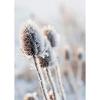 Wall Art Winter Snow Forest Train Deer Squirrel Pine Cone Canvas Painting Posters and Prints for Living Room Home Decor