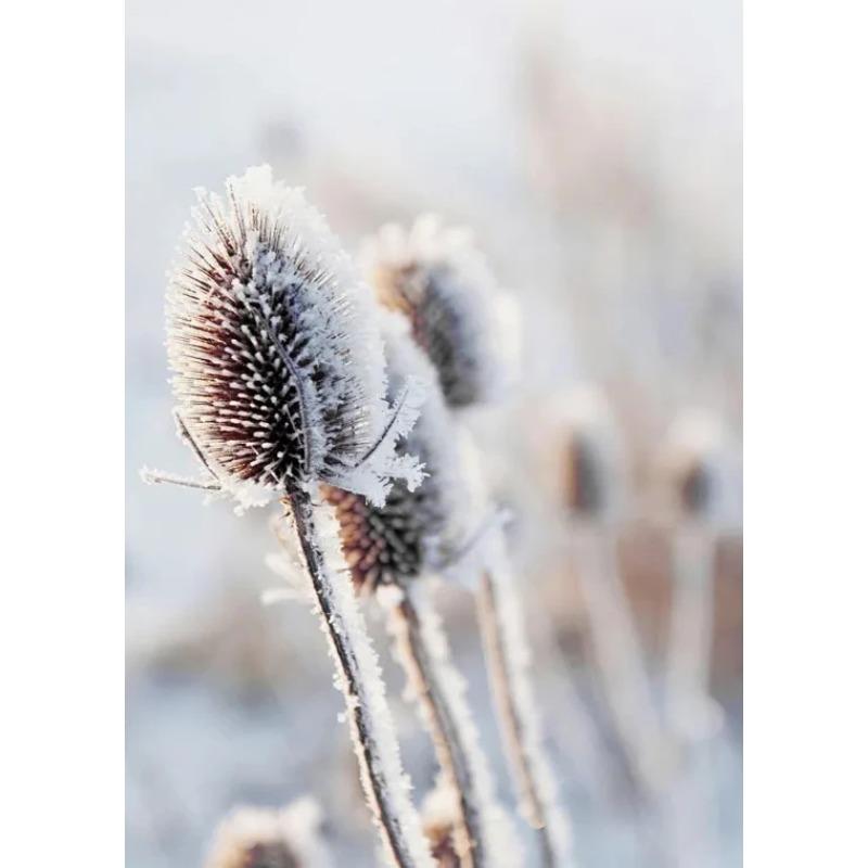 Wall Art Winter Snow Forest Train Deer Squirrel Pine Cone Canvas Painting Posters and Prints for Living Room Home Decor